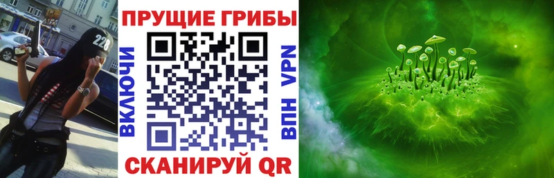 Галлюциногенные грибы Cubensis  цена   Шумерля 